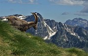 83 Scendiamo ancora un po'